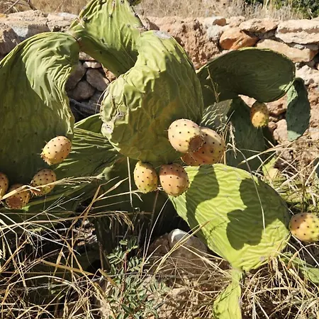 Villa Medblu Paros
